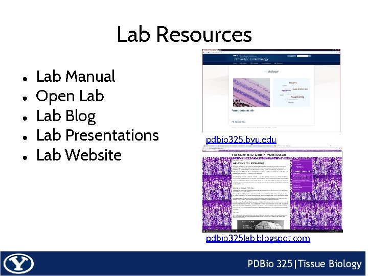 Lab Resources ● ● ● Lab Manual Open Lab Blog Lab Presentations Lab Website