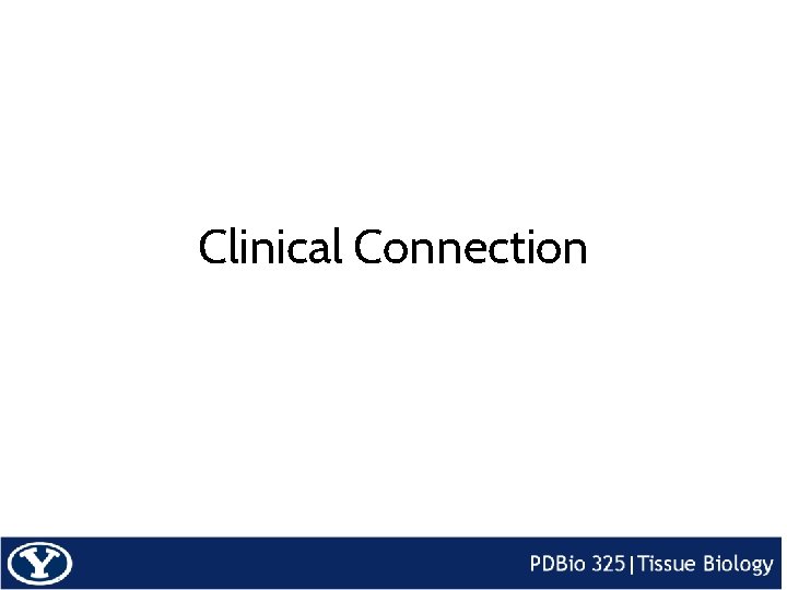 Clinical Connection 