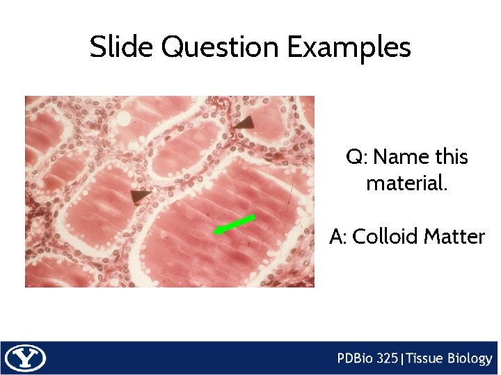 Slide Question Examples Q: Name this material. A: Colloid Matter 