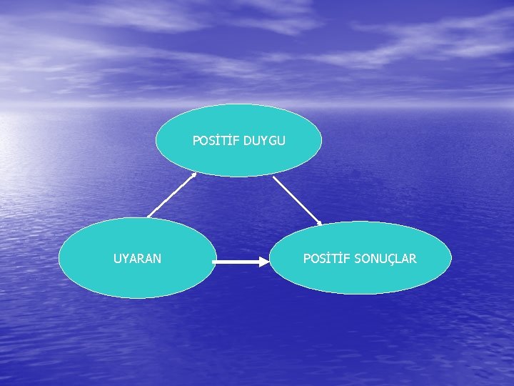 POSİTİF DUYGU UYARAN POSİTİF SONUÇLAR 