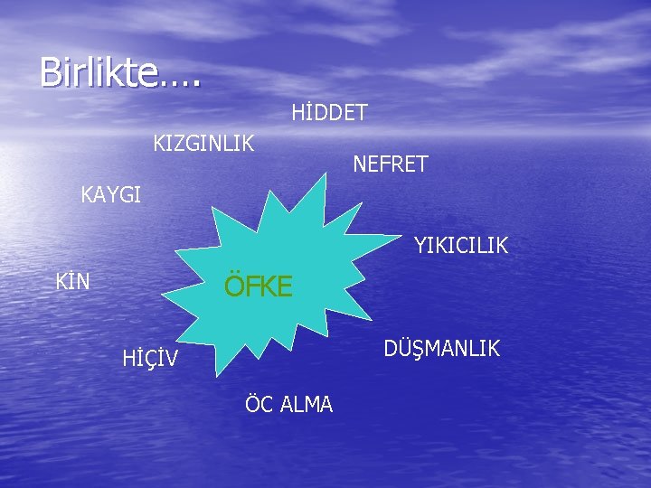 Birlikte…. HİDDET KIZGINLIK NEFRET KAYGI YIKICILIK ÖFKE KİN DÜŞMANLIK HİÇİV ÖC ALMA 