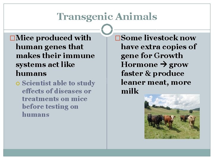 Transgenic Animals �Mice produced with human genes that makes their immune systems act like