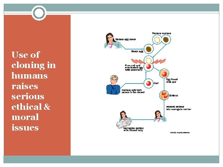 Use of cloning in humans raises serious ethical & moral issues 