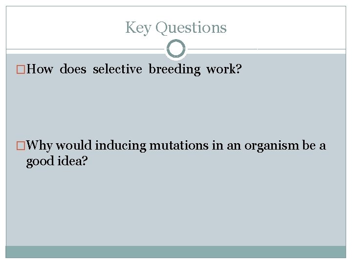 Key Questions �How does selective breeding work? �Why would inducing mutations in an organism
