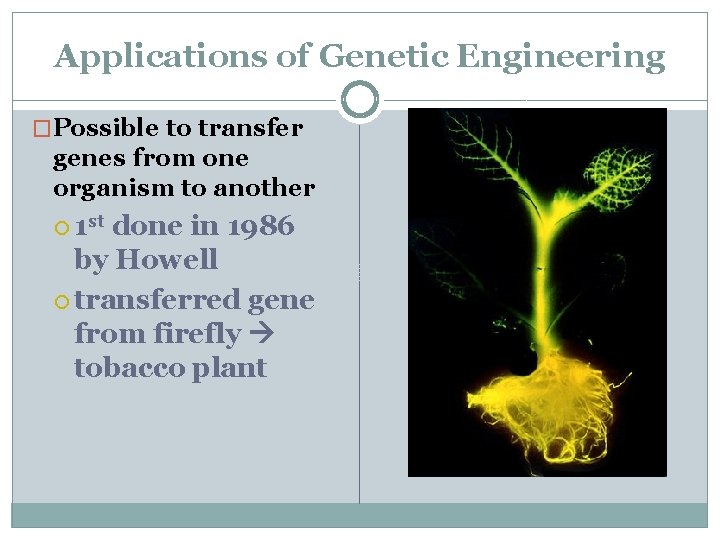 Applications of Genetic Engineering �Possible to transfer genes from one organism to another 1