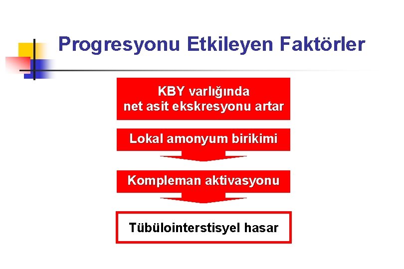 Progresyonu Etkileyen Faktörler KBY varlığında net asit ekskresyonu artar Lokal amonyum birikimi Kompleman aktivasyonu