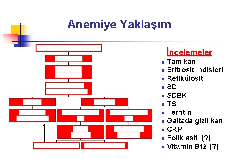 Anemiye Yaklaşım İncelemeler Tam kan l Eritrosit indisleri l Retikülosit l SDBK l TS