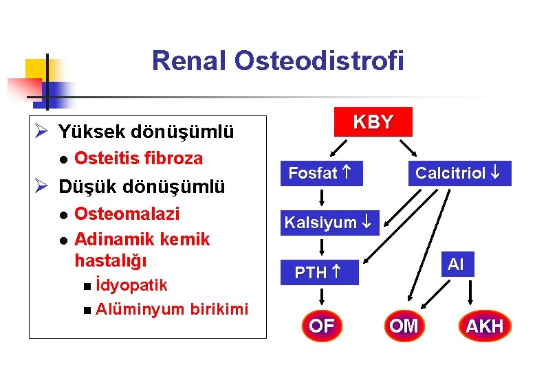 Renal Osteodistrofi KBY Ø Yüksek dönüşümlü l Osteitis fibroza Ø Düşük dönüşümlü l l