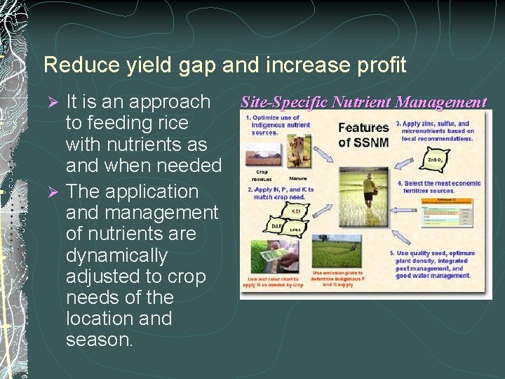 Reduce yield gap and increase profit It is an approach Site-Specific Nutrient Management to