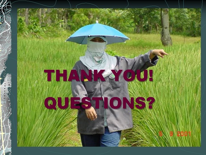 THANK YOU! QUESTIONS? 