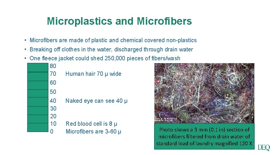 Microplastics and Microfibers • Microfibers are made of plastic and chemical covered non-plastics •