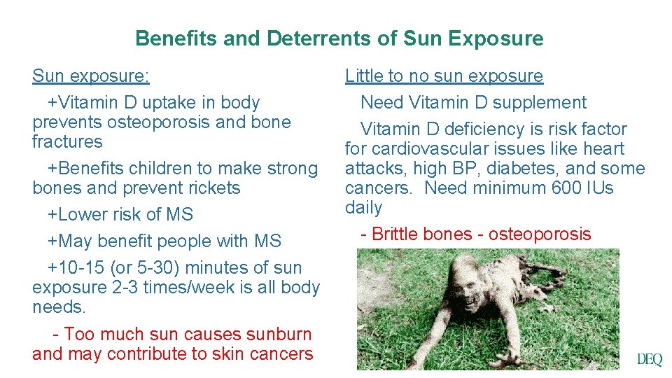 Benefits and Deterrents of Sun Exposure Sun exposure: +Vitamin D uptake in body prevents