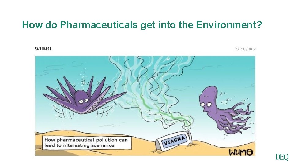 How do Pharmaceuticals get into the Environment? • Purposeful disposal to sink or toilet