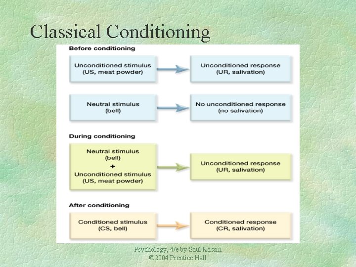 Classical Conditioning Psychology, 4/e by Saul Kassin © 2004 Prentice Hall 