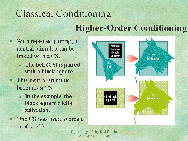 Classical Conditioning Higher-Order Conditioning § With repeated pairing, a neutral stimulus can be linked
