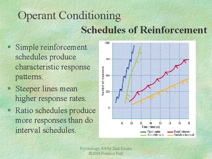 Operant Conditioning Schedules of Reinforcement § Simple reinforcement schedules produce characteristic response patterns. §