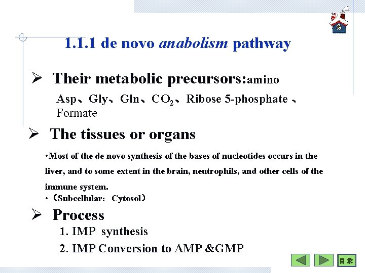 1. 1. 1 de novo anabolism pathway Ø Their metabolic precursors: amino Asp、Gly、Gln、CO 2、Ribose