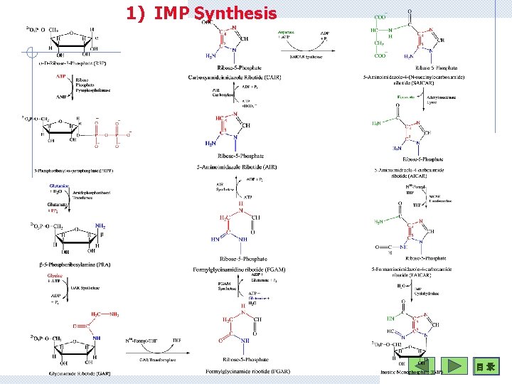 1) IMP Synthesis 目 录 