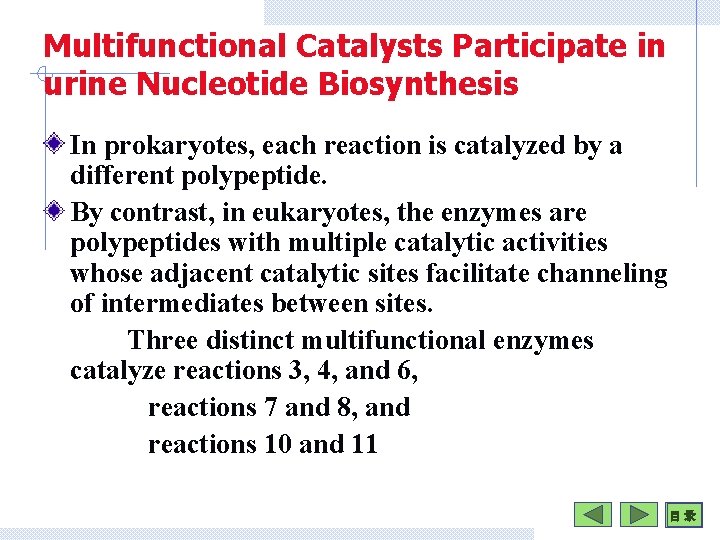 Multifunctional Catalysts Participate in urine Nucleotide Biosynthesis In prokaryotes, each reaction is catalyzed by