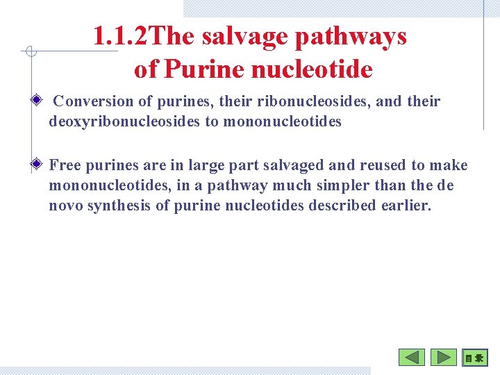 1. 1. 2 The salvage pathways of Purine nucleotide Conversion of purines, their ribonucleosides,