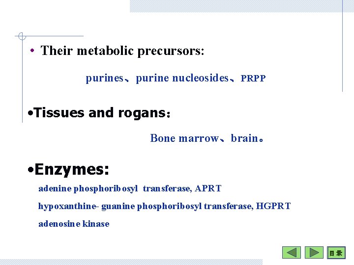  • Their metabolic precursors: purines、purine nucleosides、PRPP • Tissues and rogans： Bone marrow、brain。 •