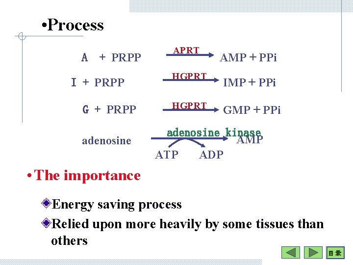  • Process A + PRPP I + PRPP G + PRPP adenosine APRT