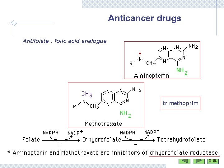 Anticancer drugs Antifolate : folic acid analogue trimethoprim 目 录 