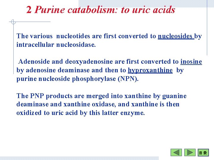 2 Purine catabolism: to uric acids The various nucleotides are first converted to nucleosides