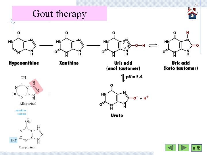 Gout therapy 目 录 