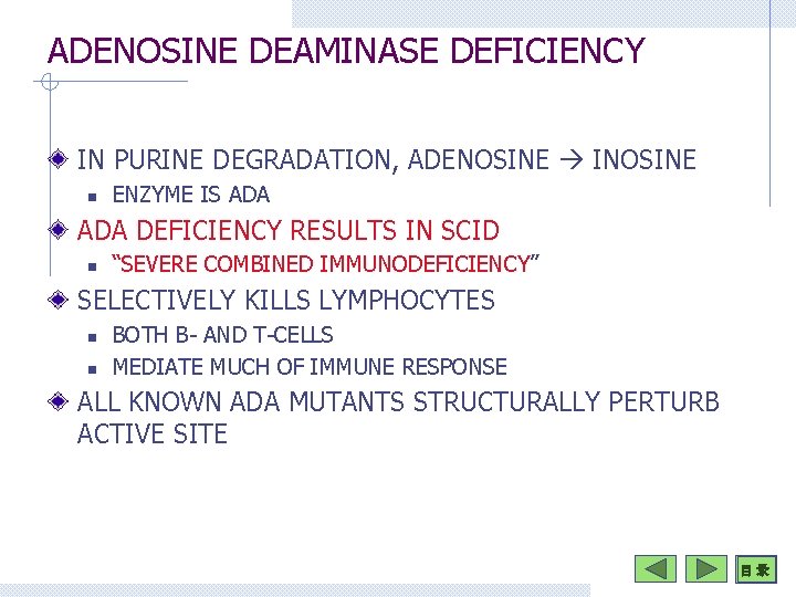 ADENOSINE DEAMINASE DEFICIENCY IN PURINE DEGRADATION, ADENOSINE INOSINE n ENZYME IS ADA DEFICIENCY RESULTS