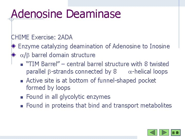 Adenosine Deaminase CHIME Exercise: 2 ADA Enzyme catalyzing deamination of Adenosine to Inosine a/b