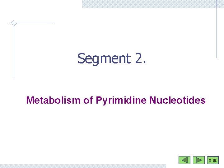 Segment 2. Metabolism of Pyrimidine Nucleotides 目 录 