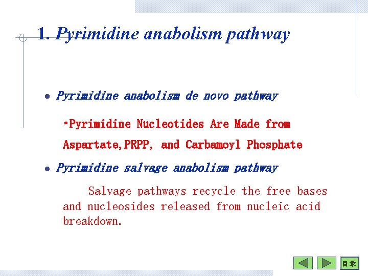 1. Pyrimidine anabolism pathway l Pyrimidine anabolism de novo pathway • Pyrimidine Nucleotides Are