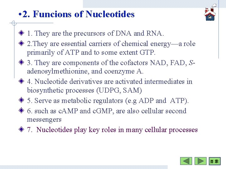  • 2. Funcions of Nucleotides 1. They are the precursors of DNA and