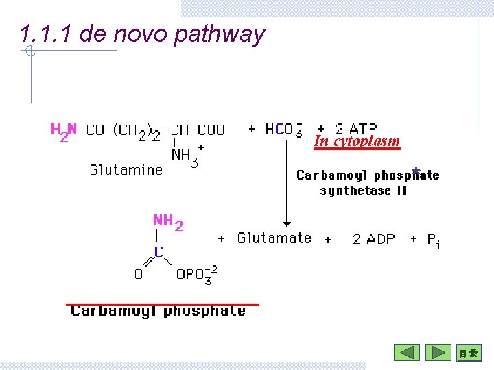 1. 1. 1 de novo pathway In cytoplasm * 目 录 