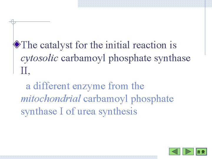 The catalyst for the initial reaction is cytosolic carbamoyl phosphate synthase II, a different