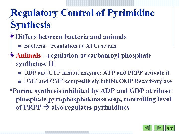 Regulatory Control of Pyrimidine Synthesis Differs between bacteria and animals n Bacteria – regulation