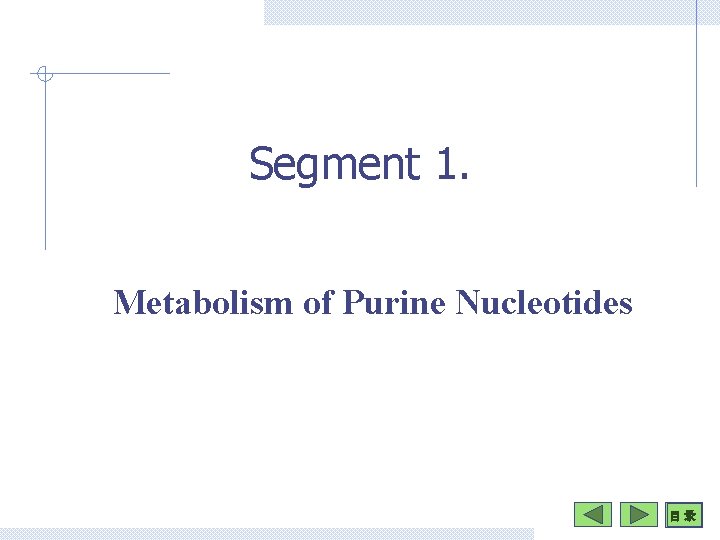 Segment 1. Metabolism of Purine Nucleotides 目 录 