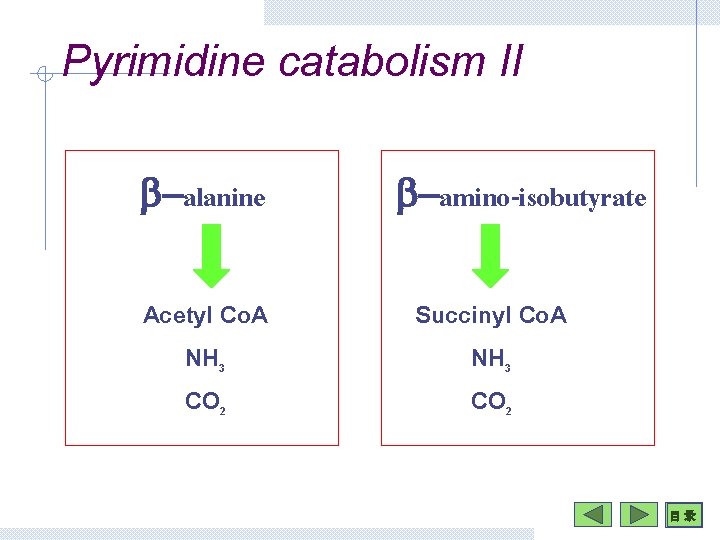 Pyrimidine catabolism II b-alanine Acetyl Co. A NH 3 CO 2 b-amino-isobutyrate Succinyl Co.