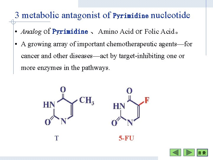 3 metabolic antagonist of Pyrimidine nucleotide • Analog of Pyrimidine 、Amino Acid or Folic