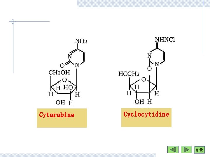 Cytarabine Cyclocytidine 目 录 