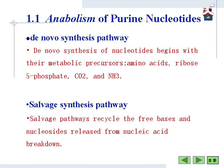 1. 1 Anabolism of Purine Nucleotides l de novo synthesis pathway • De novo