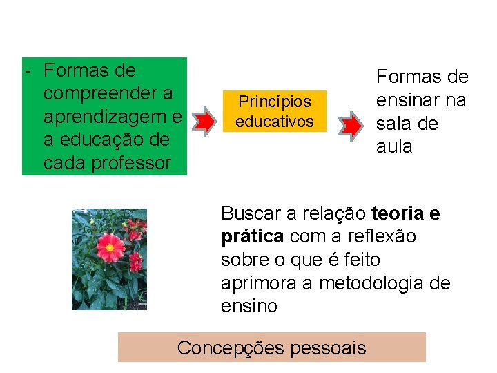 - Formas de compreender a aprendizagem e a educação de cada professor Princípios educativos