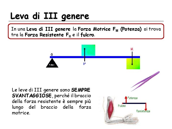 Leva di III genere In una Leva di III genere la Forza Motrice FM