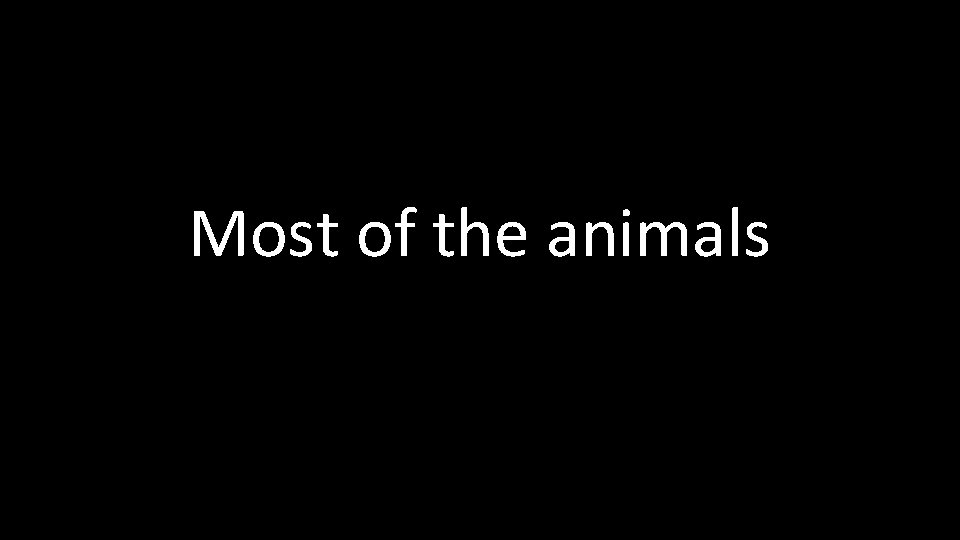 Most of the animals 