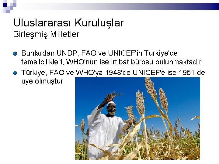 Uluslararası Kuruluşlar Birleşmiş Milletler Bunlardan UNDP, FAO ve UNICEF'in Türkiye'de temsilcilikleri, WHO'nun ise irtibat