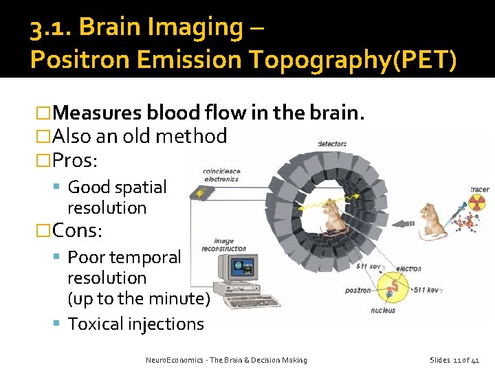 3. 1. Brain Imaging – Positron Emission Topography(PET) �Measures blood flow in the brain.