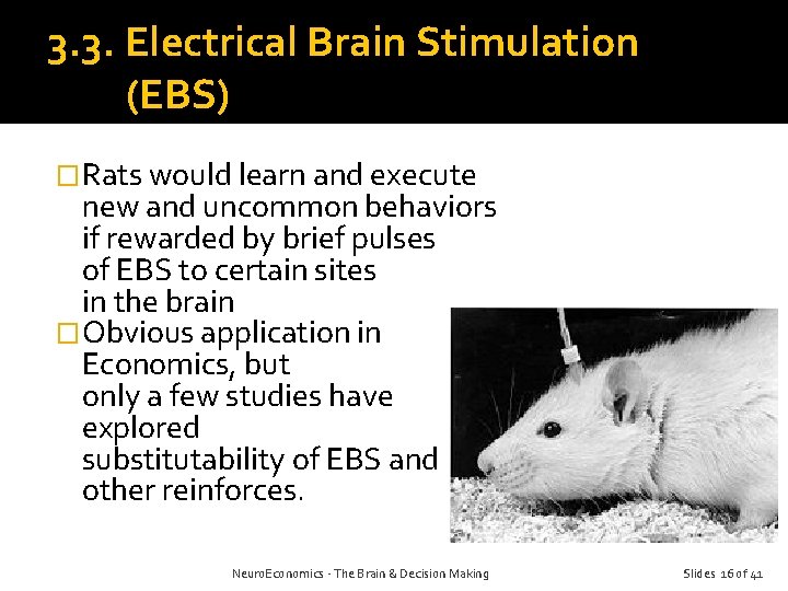 3. 3. Electrical Brain Stimulation (EBS) �Rats would learn and execute new and uncommon