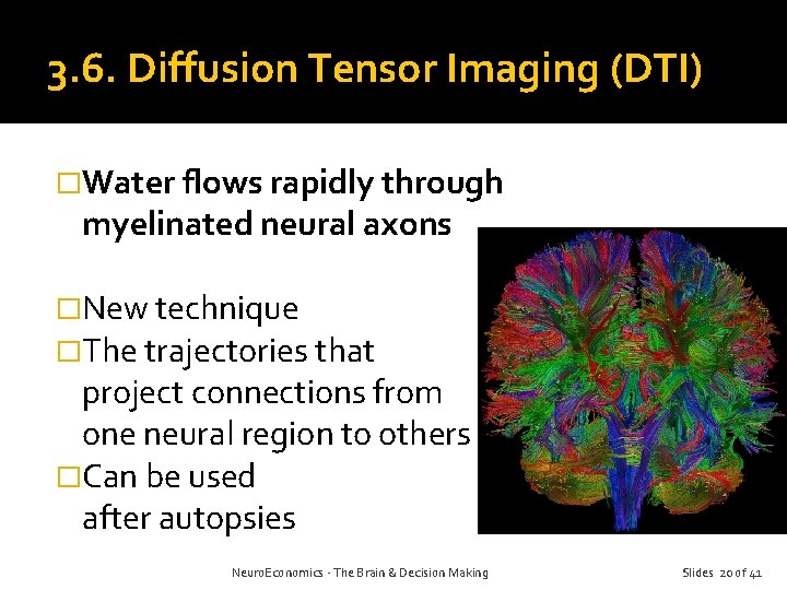 3. 6. Diffusion Tensor Imaging (DTI) �Water flows rapidly through myelinated neural axons �New