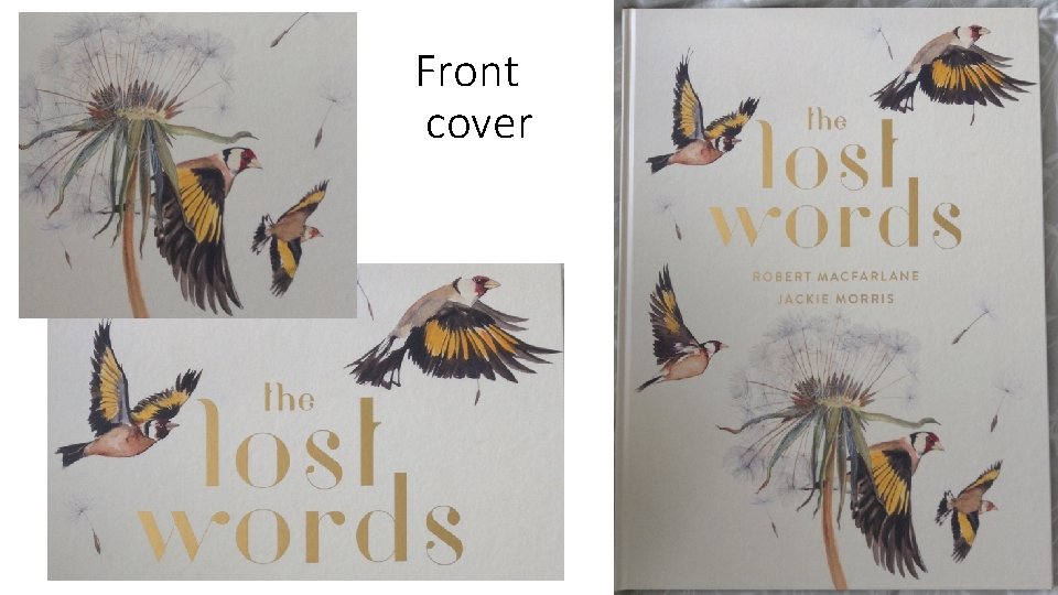 Front cover 